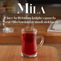 استکان دسته دار پاشاباغچه مدل میلا عکس ژورنالی
